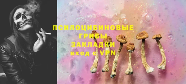 ПСИЛОЦИБИНОВЫЕ ГРИБЫ Богданович