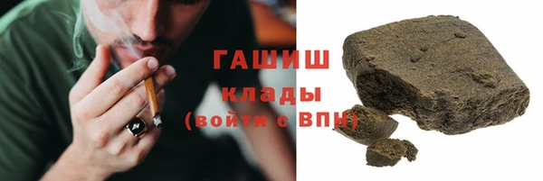 ПСИЛОЦИБИНОВЫЕ ГРИБЫ Богданович