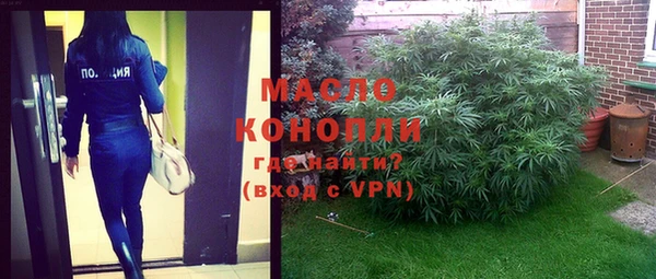 ПСИЛОЦИБИНОВЫЕ ГРИБЫ Богданович