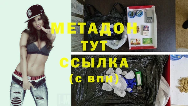 ПСИЛОЦИБИНОВЫЕ ГРИБЫ Богданович
