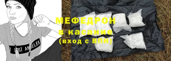 мдпв Богородицк