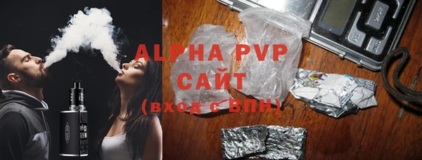 ПСИЛОЦИБИНОВЫЕ ГРИБЫ Богданович