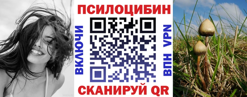 Псилоцибиновые грибы Magic Shrooms  Тула 